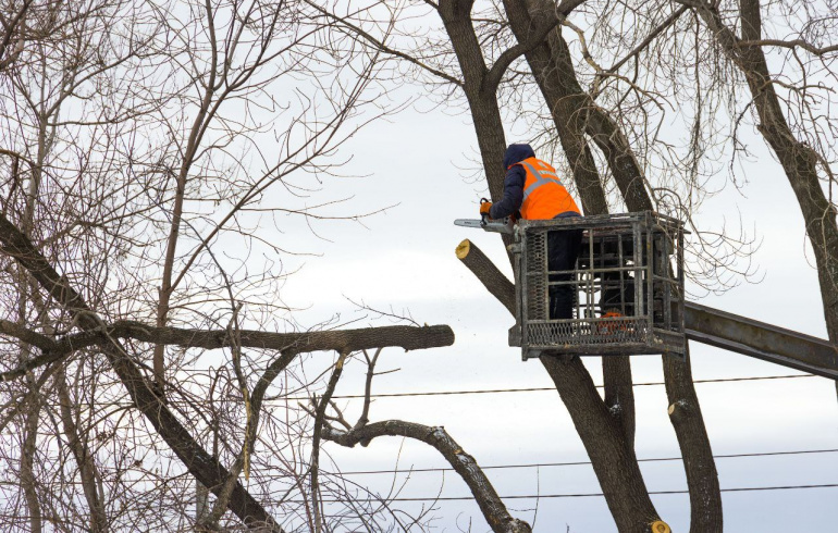 Комплексное обслуживание муниципальных учреждений Одессы: профессиональный спил деревьев и уход за зелеными насаждениями Derevo