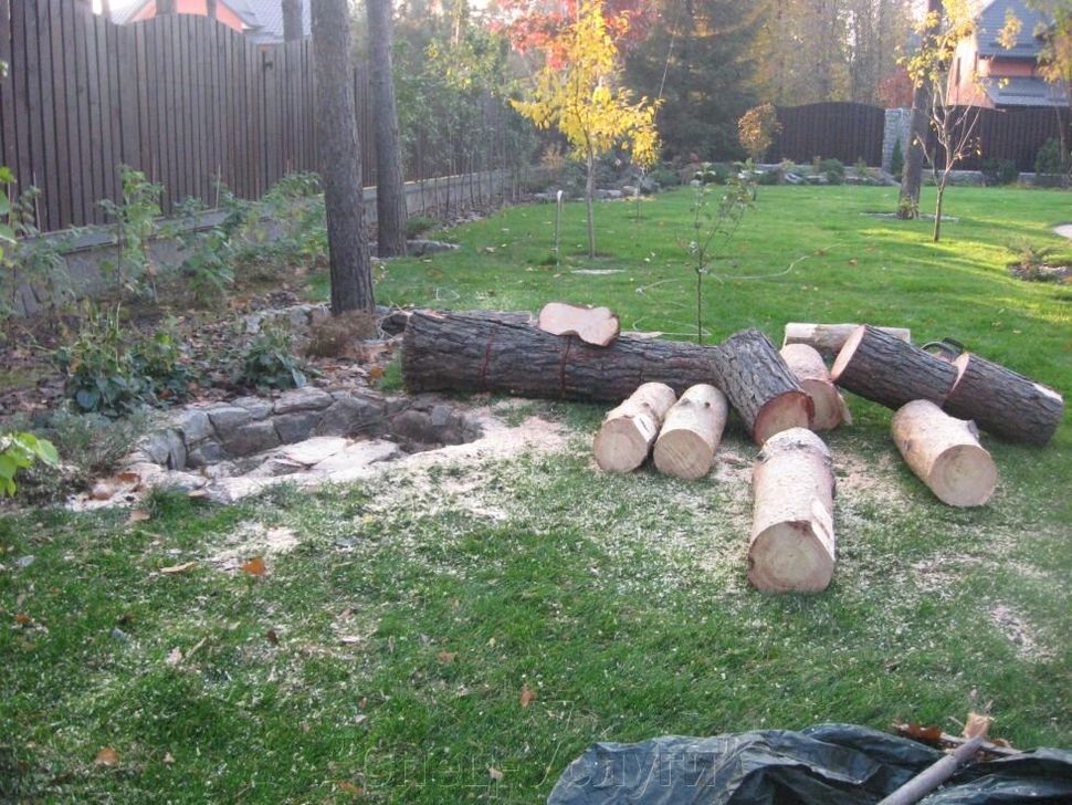 Спил дерева возле дома в Одессе: важные моменты и рекомендации Spil Vo Dvote
